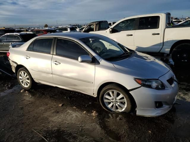 2010 Toyota Corolla Base