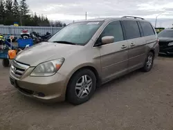 2005 Honda Odyssey EXL en venta en Bowmanville, ON