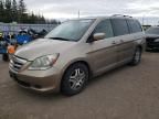 2005 Honda Odyssey EXL