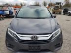 2019 Honda Odyssey EXL