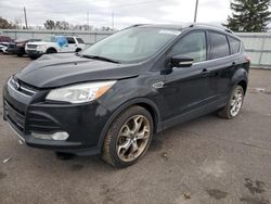 Ford salvage cars for sale: 2014 Ford Escape Titanium