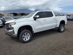 Salvage cars for sale at Kapolei, HI auction: 2019 Chevrolet Silverado K1500 LT