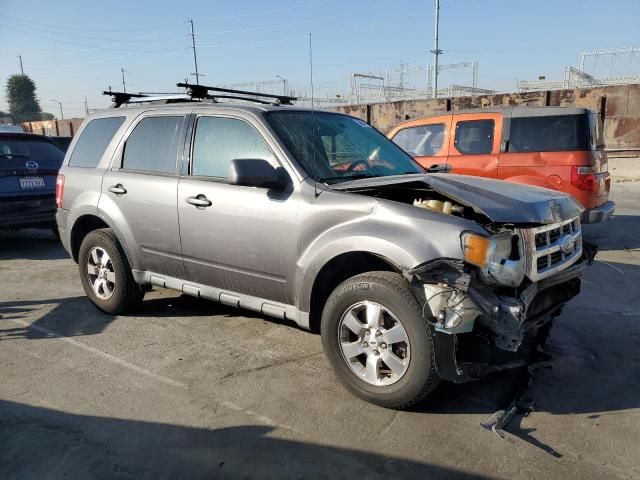 2010 Ford Escape Limited