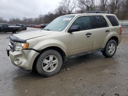 Salvage cars for sale from Copart Ellwood City, PA: 2011 Ford Escape XLT