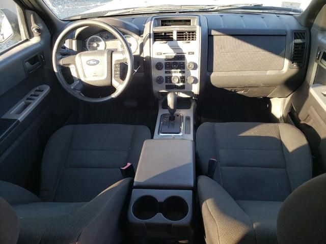 2009 Ford Escape XLT