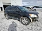 2007 Honda CR-V EXL