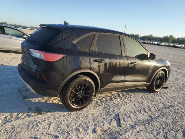 2020 Ford Escape SE Sport