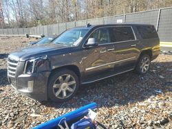 Cadillac salvage cars for sale: 2017 Cadillac Escalade ESV Premium Luxury