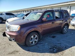 Honda Pilot Exln salvage cars for sale: 2012 Honda Pilot Exln