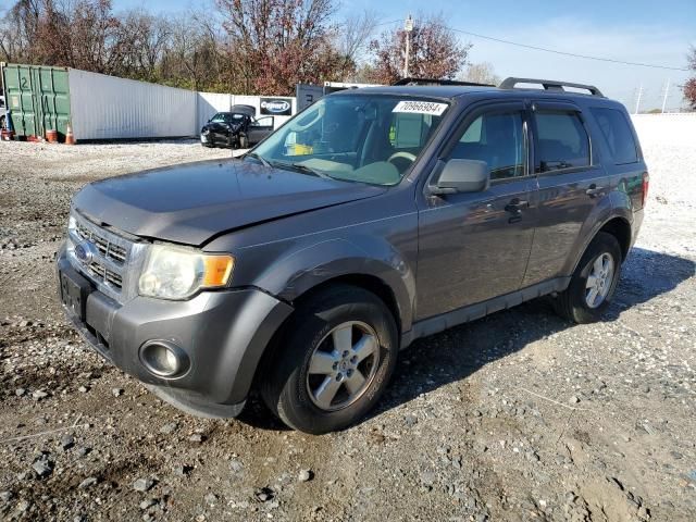 2009 Ford Escape XLT