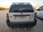 2006 Ford Escape XLT