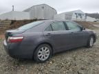 2007 Toyota Camry Hybrid