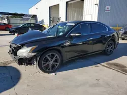 Nissan salvage cars for sale: 2014 Nissan Maxima S