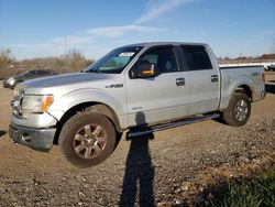 2013 Ford F150 Supercrew en venta en Columbia Station, OH