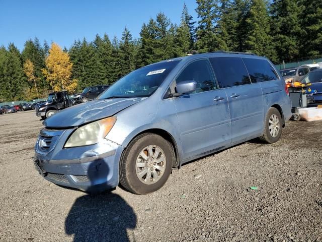 2008 Honda Odyssey EXL