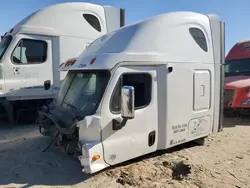 Salvage trucks for sale at Sun Valley, CA auction: 2013 Freightliner Cascadia 125