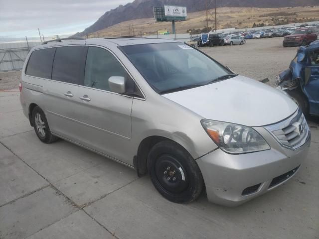 2005 Honda Odyssey EXL