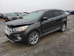 Salvage cars for sale at Helena, MT auction: 2019 Ford Escape SE