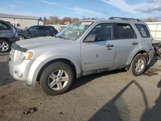 2012 Ford Escape Hybrid