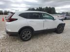 2020 Honda CR-V EXL