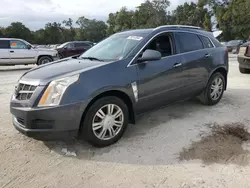 Cadillac srx Luxury Collection Vehiculos salvage en venta: 2010 Cadillac SRX Luxury Collection