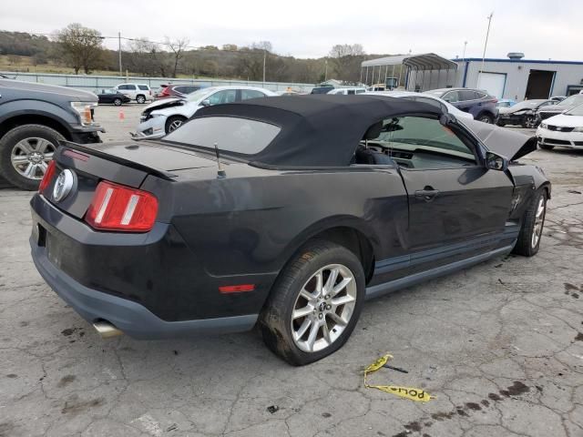 2010 Ford Mustang