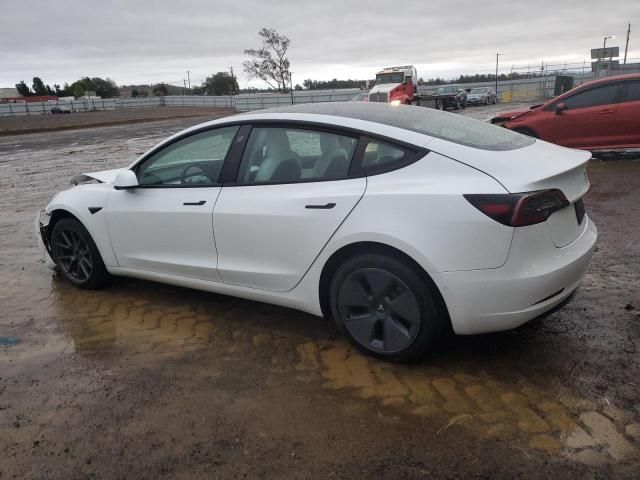 2021 Tesla Model 3