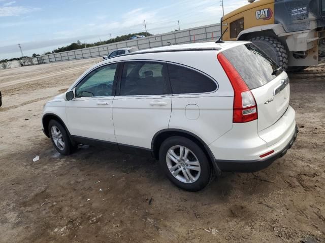 2010 Honda CR-V EXL