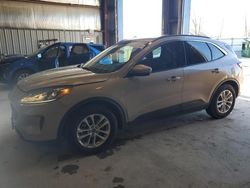 Salvage cars for sale at Appleton, WI auction: 2020 Ford Escape SE