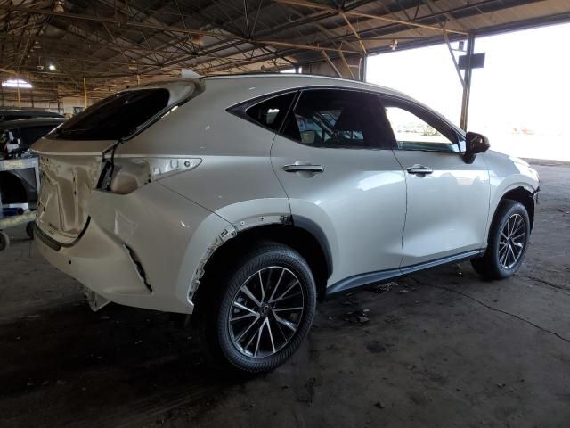 2024 Lexus NX 350H Base