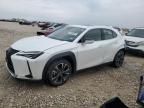 2019 Lexus UX 250H