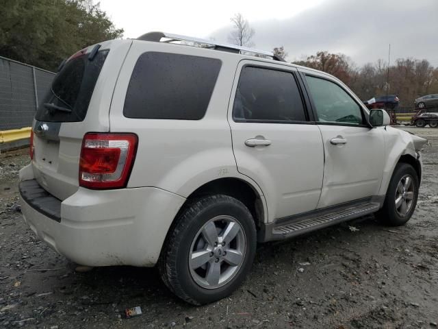 2010 Ford Escape Limited