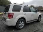 2010 Ford Escape Limited