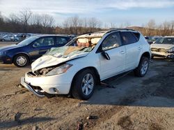 Salvage cars for sale at Marlboro, NY auction: 2006 Nissan Murano SL