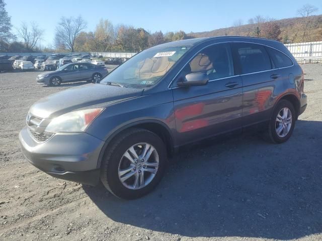 2010 Honda CR-V EXL