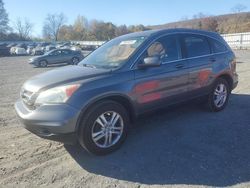 Salvage cars for sale at Grantville, PA auction: 2010 Honda CR-V EXL