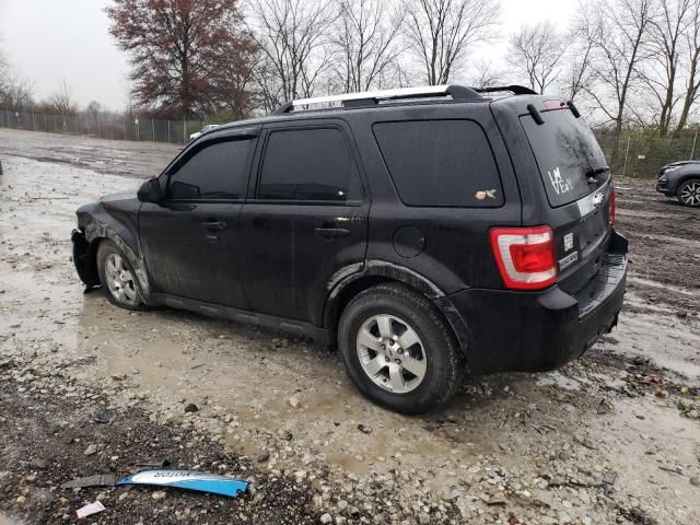 2011 Ford Escape Limited