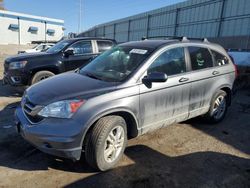 2010 Honda CR-V EXL en venta en Anthony, TX