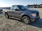 2009 Ford F150