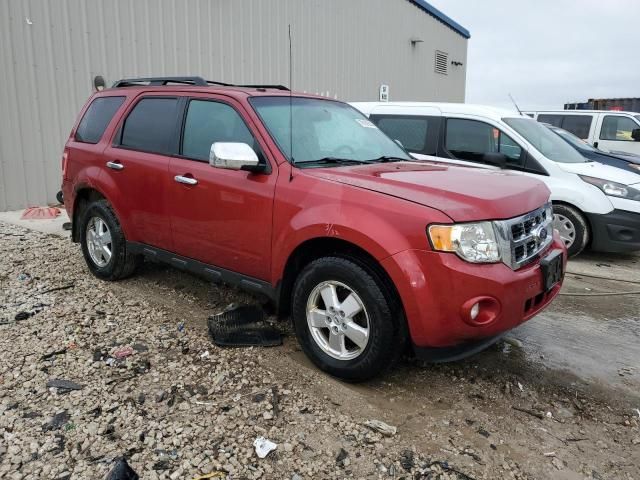 2011 Ford Escape XLT