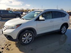 Salvage cars for sale at Columbus, OH auction: 2014 Honda CR-V EXL