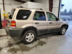 2007 Ford Escape XLT