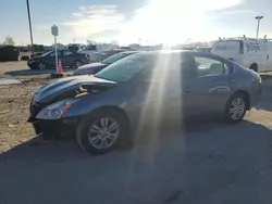 Salvage cars for sale at Indianapolis, IN auction: 2012 Nissan Altima Base