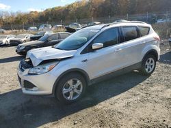 Salvage cars for sale at Baltimore, MD auction: 2013 Ford Escape SE