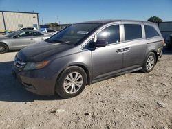 2016 Honda Odyssey EXL en venta en Haslet, TX