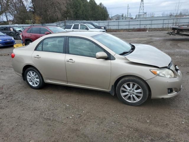 2010 Toyota Corolla Base