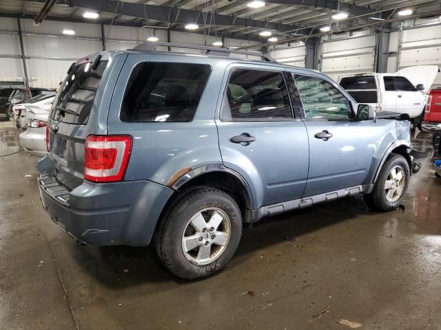 2010 Ford Escape XLT