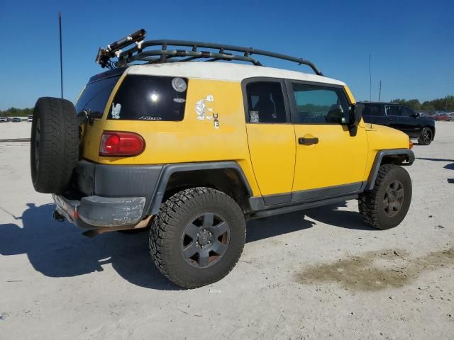 2007 Toyota FJ Cruiser