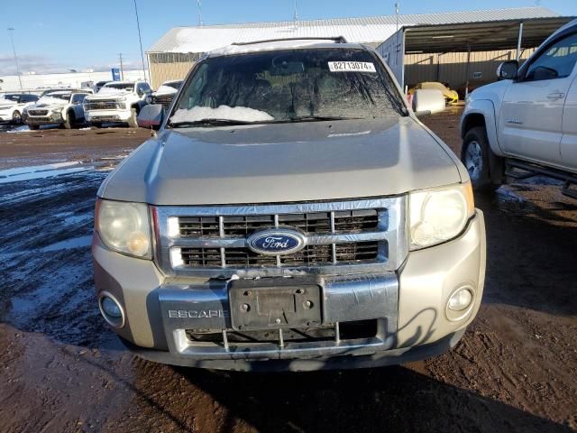 2010 Ford Escape Limited