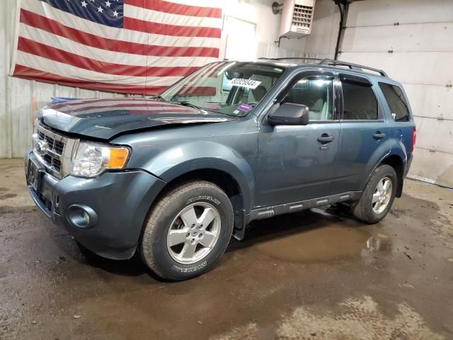 2011 Ford Escape XLT